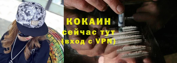 дживик Аркадак