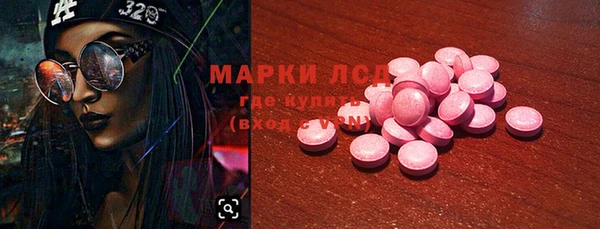 дживик Аркадак