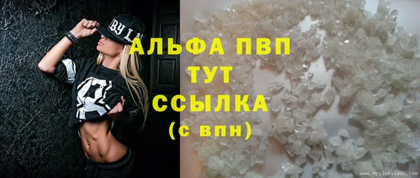 дживик Аркадак