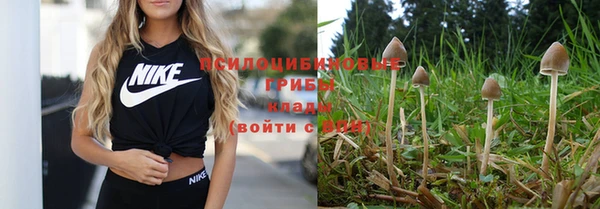 mdpv Арсеньев