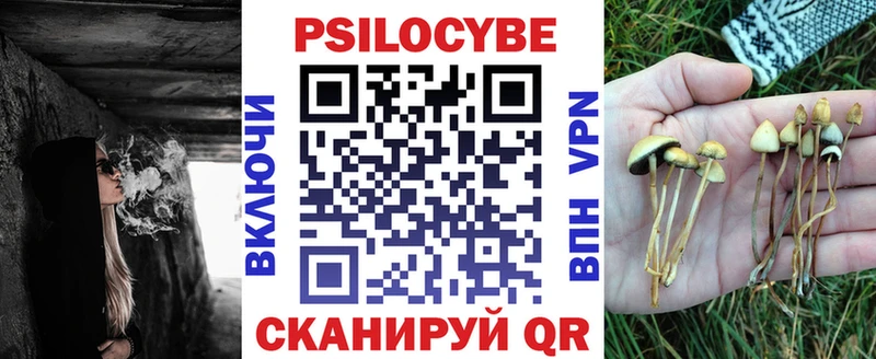Галлюциногенные грибы Psilocybine cubensis  дарнет шоп  Ленинск 